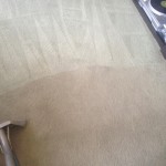 Carpet-Cleaning-Pleasant Hill