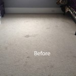 Cranberry Juice Stain Removal Pleasant Hill-A