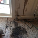 Oil-Stain-Removal-Before-Pleasant Hill