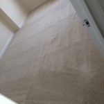 Pleasant Hill-Carpet-Clean-room