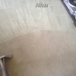Pleasant Hill-Carpet-Cleaning-Company
