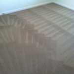 Pleasant Hill-Carpet-Cleaning-Wall-To-Wall